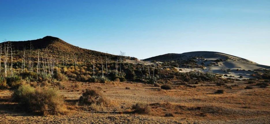 playa de monsul 5