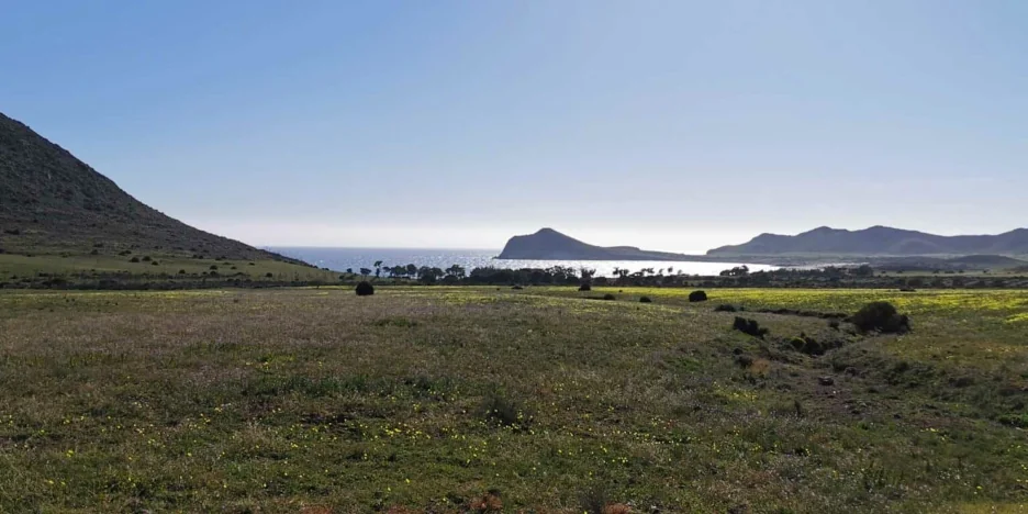 playa genoveses cabo de gata 3
