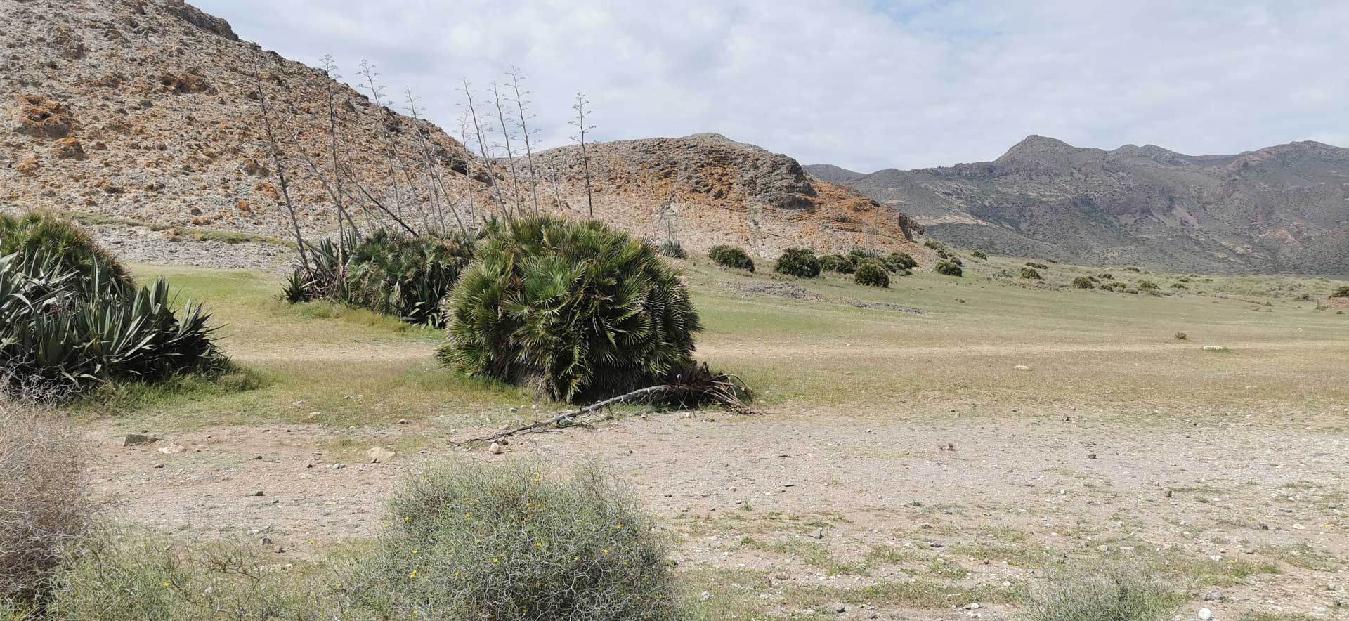Playa de los Muertos