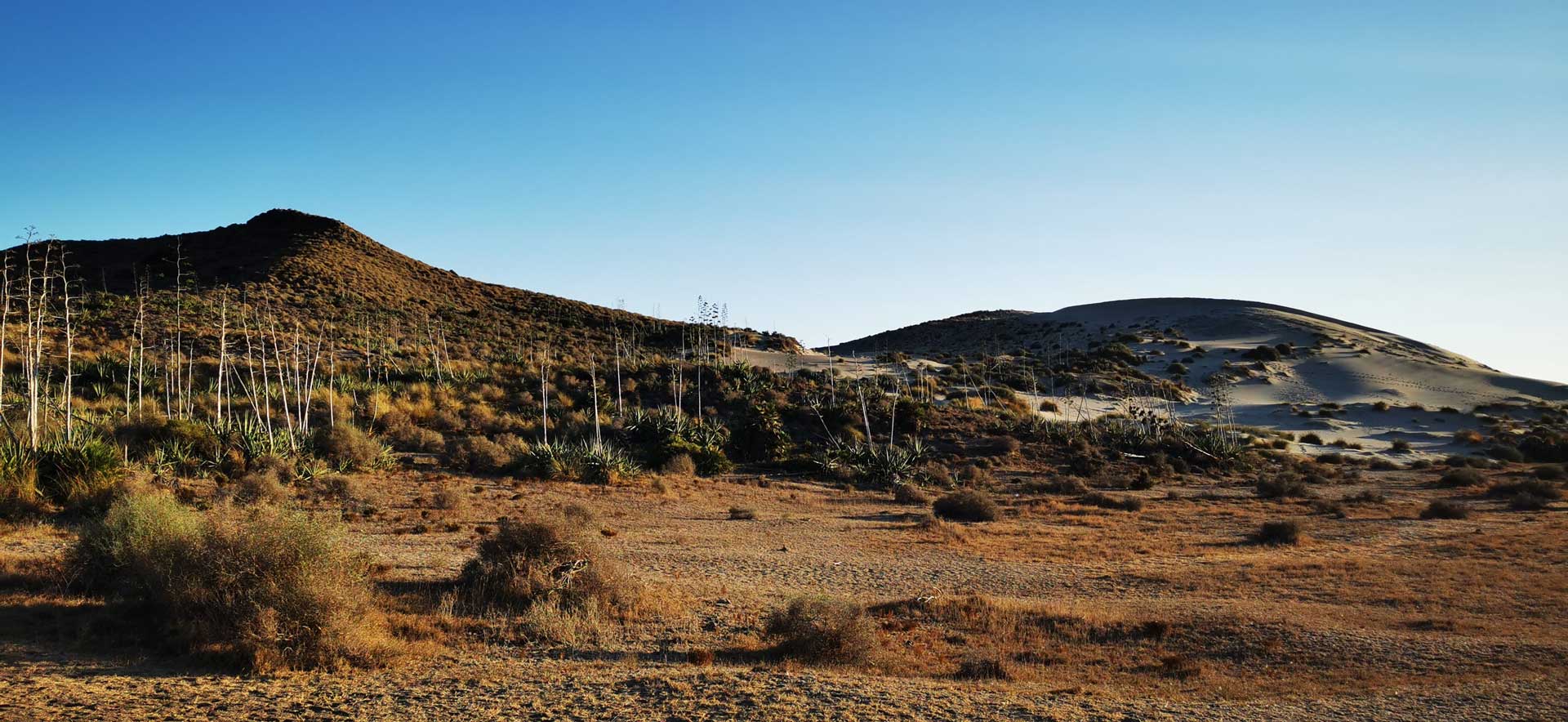 Playa de los Muertos